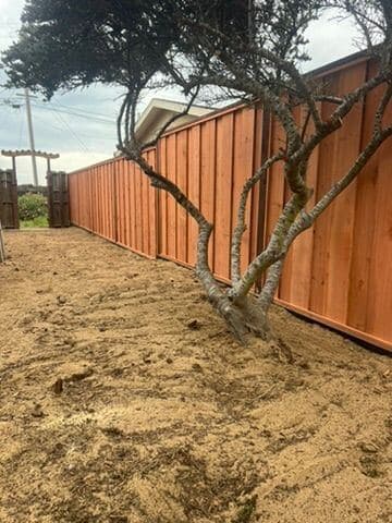 Cedar privacy fence with a tree in front of it