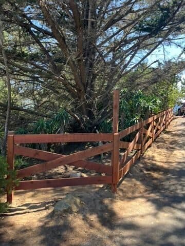 Crossbuck rail fence and gate opening beside a wooded driveway